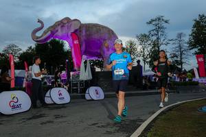 BIB: 
                            <button type="button" onclick="openModal(26529546)" class="btn btn-primary btn-sm float-right btn-popup" data-toggle="modal" data-target=".modal-high-quality">
                        <i class="fas fa-shopping-cart"></i> Add to Cart
                    </button>
                                            <button type="button" onclick="isThisMe(26529546, true)" class="btn btn-success btn-sm float-right btn-popup btn-isme hidden" data-toggle="tooltip" data-placement="bottom" title="นี่คือรูปของคุณใช่ไหม คลิกที่นี่เพื่อเอาเข้าอัลบั้ม">
                        <i class="fas fa-plus"></i> Add to album
                    </button>
                    <button type="button" onclick="isThisMe(26529546, false)" class="btn btn-warning btn-sm float-right btn-popup btn-isnotme hidden">
                        <i class="fas fa-ban"></i> Remove from album
                    </button>